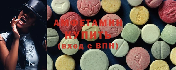 стаф Новозыбков