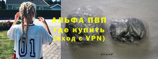 шишки Снежногорск