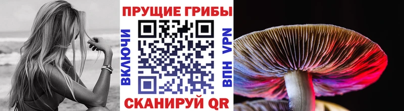 Галлюциногенные грибы ЛСД  где найти   Задонск 