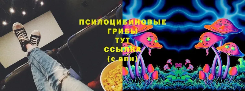 Галлюциногенные грибы Cubensis  Задонск 